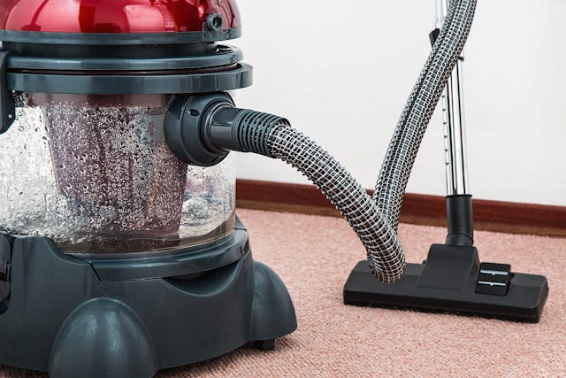 steamer atop a carpet